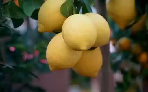 Bunches of lemons  from Chrome web store to be run with OffiDocs Chromium online