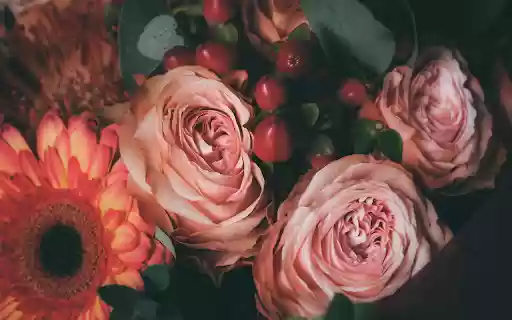 Bunch of fresh roses and gerbera  from Chrome web store to be run with OffiDocs Chromium online