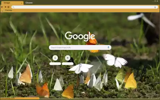 Buom  from Chrome web store to be run with OffiDocs Chromium online