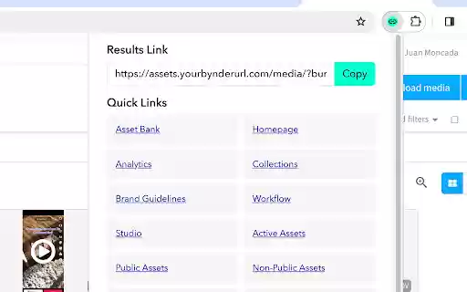 BURLIE Bynder URL Initiator Extension  from Chrome web store to be run with OffiDocs Chromium online