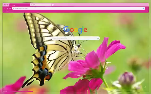 Butterfly on pink flower from Chrome web store to be run with OffiDocs Chromium online Butterfly on pink flower from Chrome web store to be run with OffiDocs Chromium online