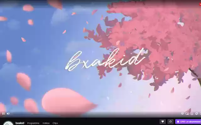 bxakid  from Chrome web store to be run with OffiDocs Chromium online