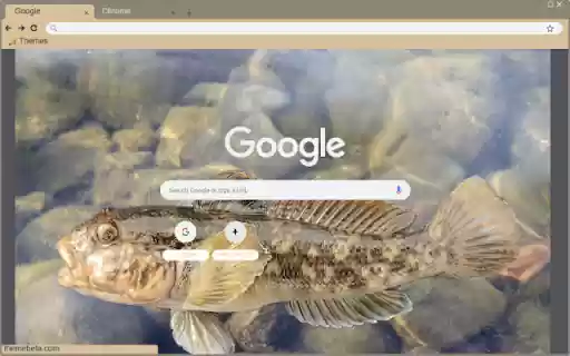Ca bong จาก Chrome เว็บสโตร์ที่จะทำงานร่วมกับ OffiDocs Chromium ออนไลน์