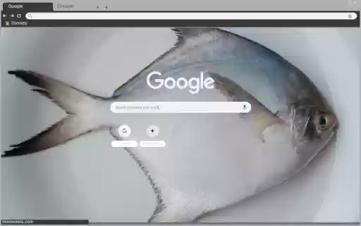 Ca chim  from Chrome web store to be run with OffiDocs Chromium online