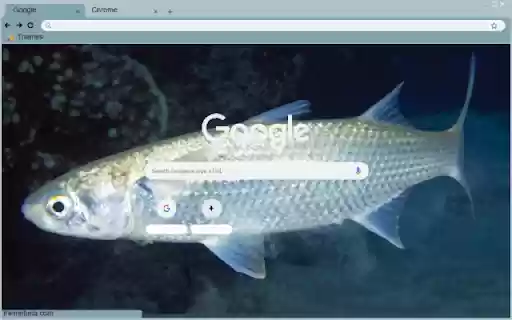 Ca doi  from Chrome web store to be run with OffiDocs Chromium online