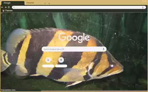 Ca ho  from Chrome web store to be run with OffiDocs Chromium online