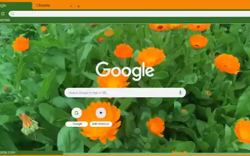 Calendula Officinalis  from Chrome web store to be run with OffiDocs Chromium online
