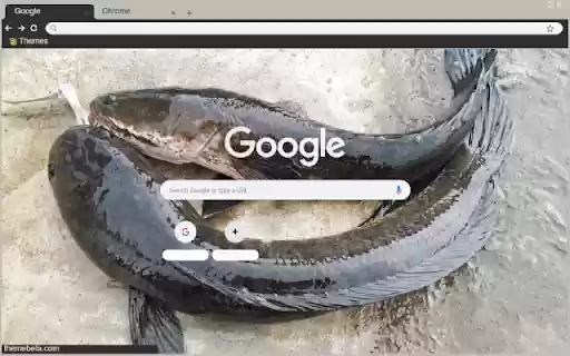 Ca loc  from Chrome web store to be run with OffiDocs Chromium online