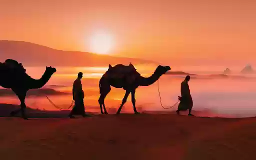 Cameleer  from Chrome web store to be run with OffiDocs Chromium online