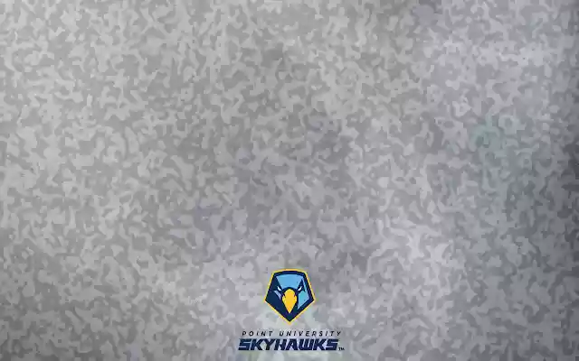 Camo Skyhawks 2019 from Chrome web store to be run with OffiDocs Chromium online Camo Skyhawks 2019 from Chrome web store to be run with OffiDocs Chromium online