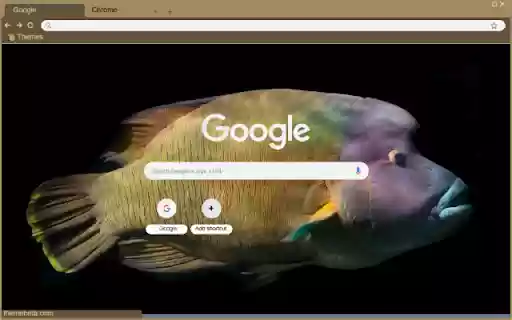 Ca napoleon from Chrome web store to be run with OffiDocs Chromium online Ca napoleon from Chrome web store to be run with OffiDocs Chromium online
