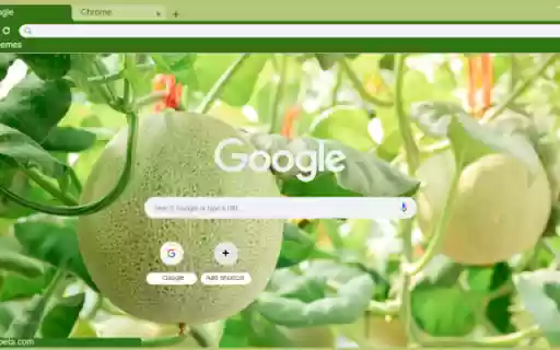 Cantaloupe Tree  from Chrome web store to be run with OffiDocs Chromium online