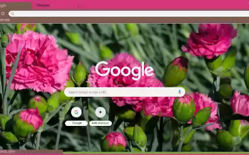 Carnation  from Chrome web store to be run with OffiDocs Chromium online