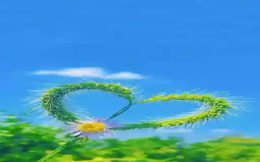 Cat grass wallpaper  from Chrome web store to be run with OffiDocs Chromium online