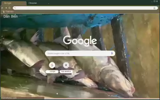 Ca thieu  from Chrome web store to be run with OffiDocs Chromium online Ca thieu  from Chrome web store to be run with OffiDocs Chromium online
