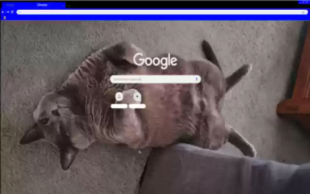 Cat Manspreading from Chrome web store to be run with OffiDocs Chromium online Cat Manspreading from Chrome web store to be run with OffiDocs Chromium online