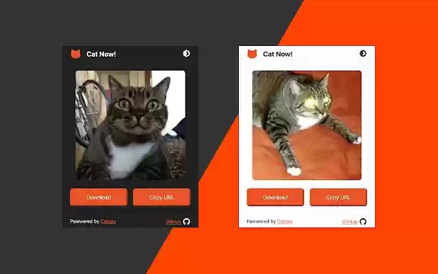 Cat Now  from Chrome web store to be run with OffiDocs Chromium online