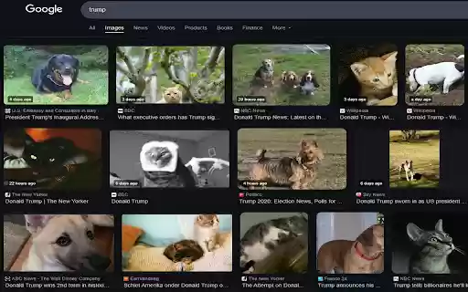CatsDogs  from Chrome web store to be run with OffiDocs Chromium online
