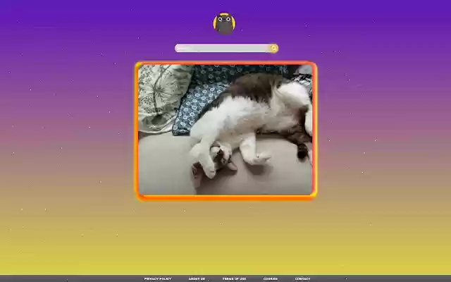Cats fanpage from Chrome web store to be run with OffiDocs Chromium online Cats fanpage from Chrome web store to be run with OffiDocs Chromium online