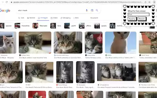 Cats Instead  from Chrome web store to be run with OffiDocs Chromium online