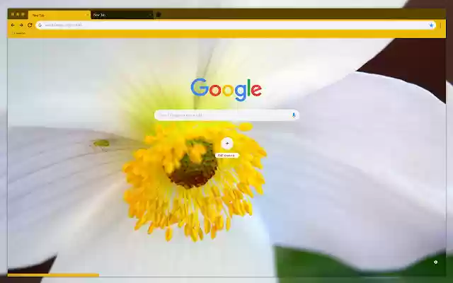 Chamomile  from Chrome web store to be run with OffiDocs Chromium online