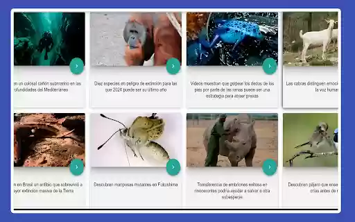 Chatiapues Messenger  from Chrome web store to be run with OffiDocs Chromium online
