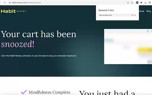 Checkout Snooze by Habit Money  from Chrome web store to be run with OffiDocs Chromium online