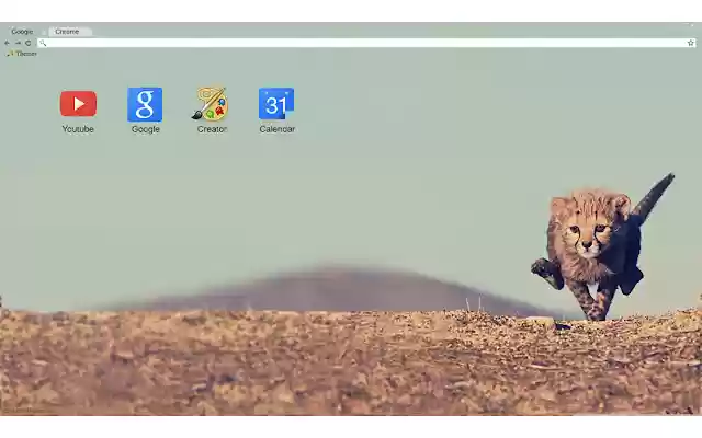 Cheetah Cub 1920x1080  from Chrome web store to be run with OffiDocs Chromium online