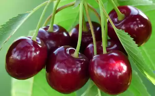 Cherry giggled  from Chrome web store to be run with OffiDocs Chromium online