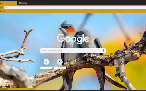 Chim  from Chrome web store to be run with OffiDocs Chromium online