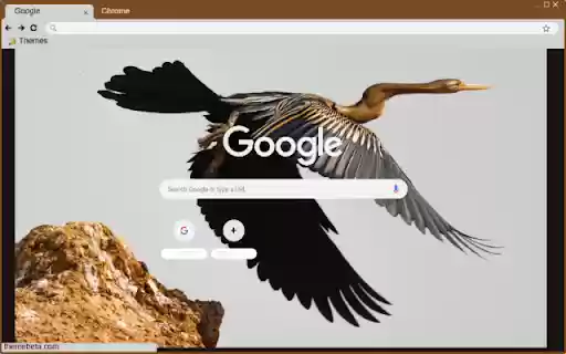 Chim cao co  from Chrome web store to be run with OffiDocs Chromium online