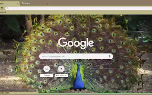 Chim Cong  from Chrome web store to be run with OffiDocs Chromium online