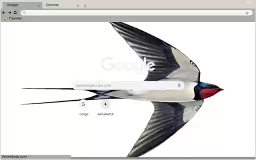Chim En Bac  from Chrome web store to be run with OffiDocs Chromium online