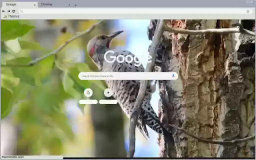 Chim Go Kien  from Chrome web store to be run with OffiDocs Chromium online