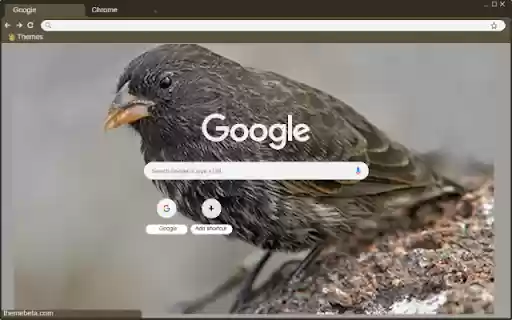Chim Ma from Chrome web store to be run with OffiDocs Chromium online Chim Ma from Chrome web store to be run with OffiDocs Chromium online