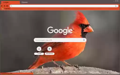 Chim Se Do from Chrome web store to be run with OffiDocs Chromium online Chim Se Do from Chrome web store to be run with OffiDocs Chromium online