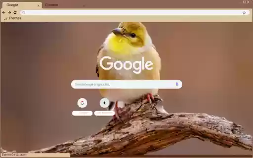 Chim Se Vang  from Chrome web store to be run with OffiDocs Chromium online