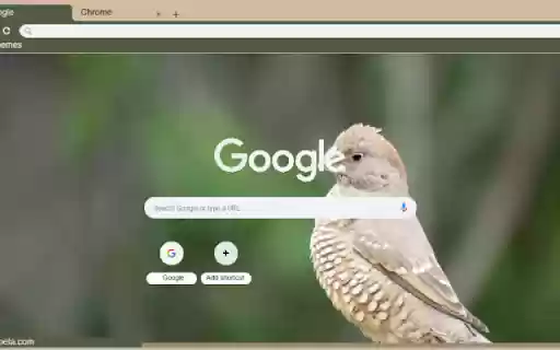 Chim Ung Dau Do from Chrome web store to be run with OffiDocs Chromium online Chim Ung Dau Do from Chrome web store to be run with OffiDocs Chromium online