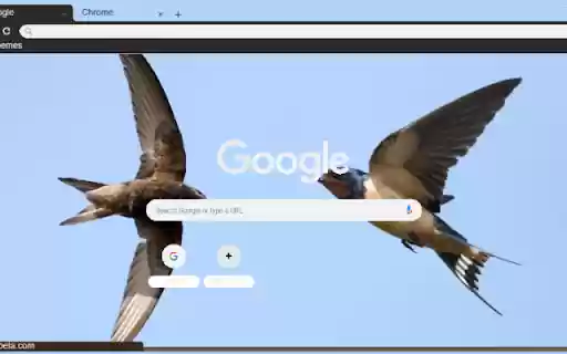 Chim Yen from Chrome web store to be run with OffiDocs Chromium online Chim Yen from Chrome web store to be run with OffiDocs Chromium online
