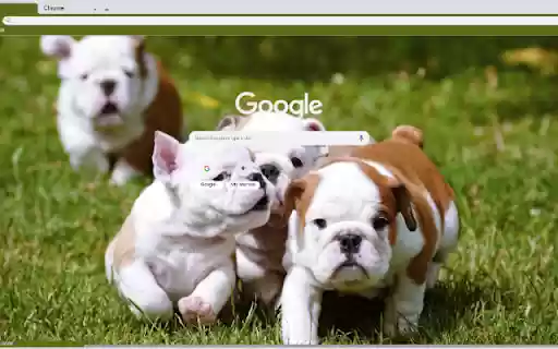 Cho  from Chrome web store to be run with OffiDocs Chromium online