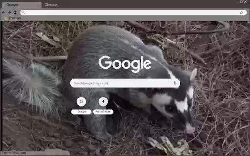 Chon bac ma from Chrome web store to be run with OffiDocs Chromium online Chon bac ma from Chrome web store to be run with OffiDocs Chromium online