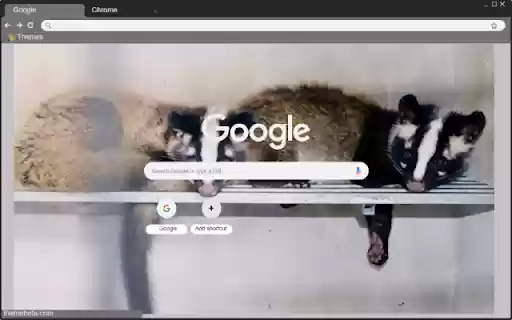 Chon rung  from Chrome web store to be run with OffiDocs Chromium online
