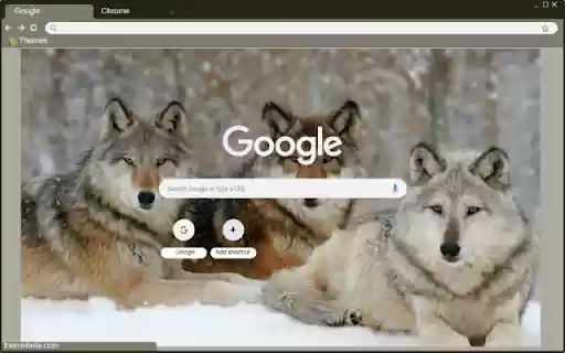 Cho soi  from Chrome web store to be run with OffiDocs Chromium online