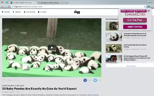 ChromeCiter  from Chrome web store to be run with OffiDocs Chromium online