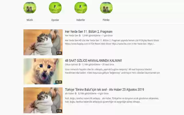 Chrome Exkittension  from Chrome web store to be run with OffiDocs Chromium online