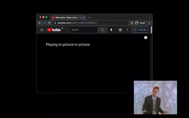 Chrome PIP  from Chrome web store to be run with OffiDocs Chromium online