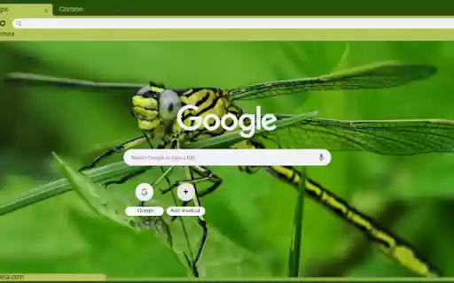 Chuon chuon xanh  from Chrome web store to be run with OffiDocs Chromium online