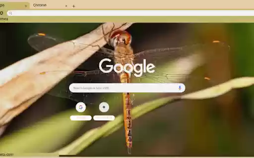 Chuon Vang  from Chrome web store to be run with OffiDocs Chromium online