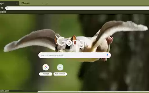 Chuot bay from Chrome web store to be run with OffiDocs Chromium online Chuot bay from Chrome web store to be run with OffiDocs Chromium online