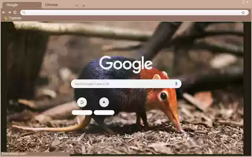 Chuot chu  from Chrome web store to be run with OffiDocs Chromium online